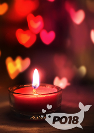 �����䱦��ǿ��NP��